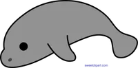Manatee cute